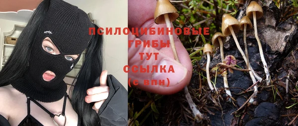 метадон Богородицк