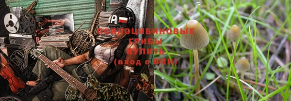 метадон Богородицк